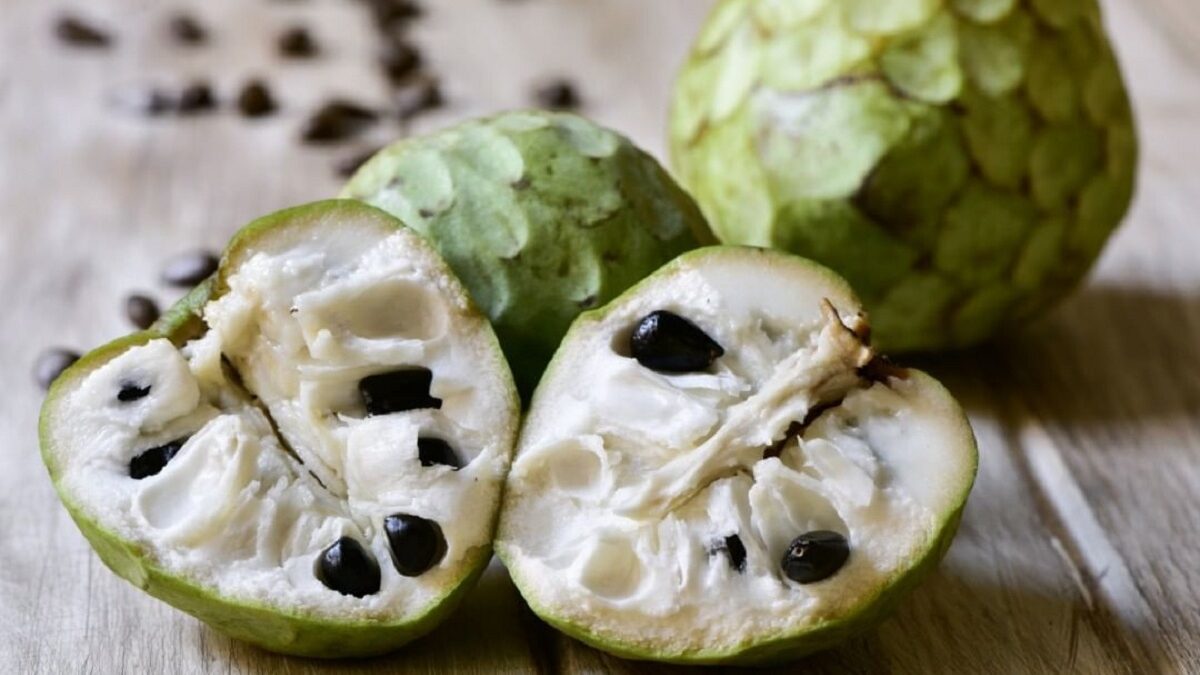 La Chirimoya, la fruta que crece en las Yungas y tiene grandes beneficios para la salud