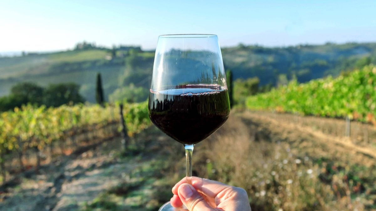 Se conformó el consejo vitivínicola para la producción de vinos de alta calidad en jujuy
